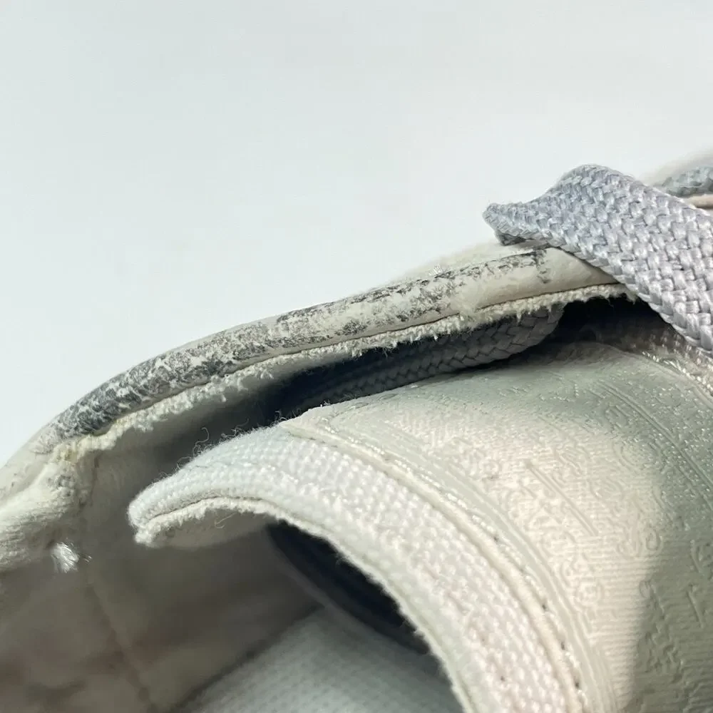 Nike sb zoom